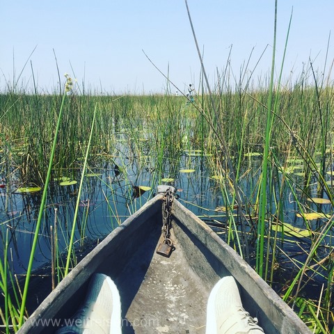 Mokoro Tour durch das Okavango Delta