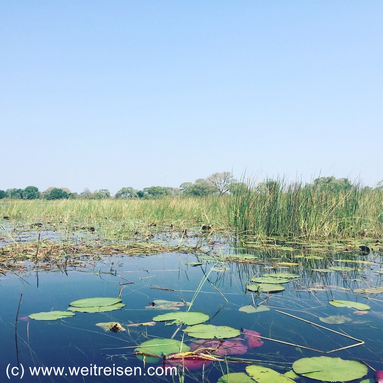 Mokoro Tour durch das Okavango Delta
