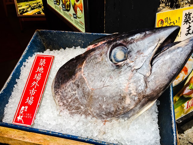 Tokio Fischmarkt, Thunfisch Auktion Tokio Fischmarkt