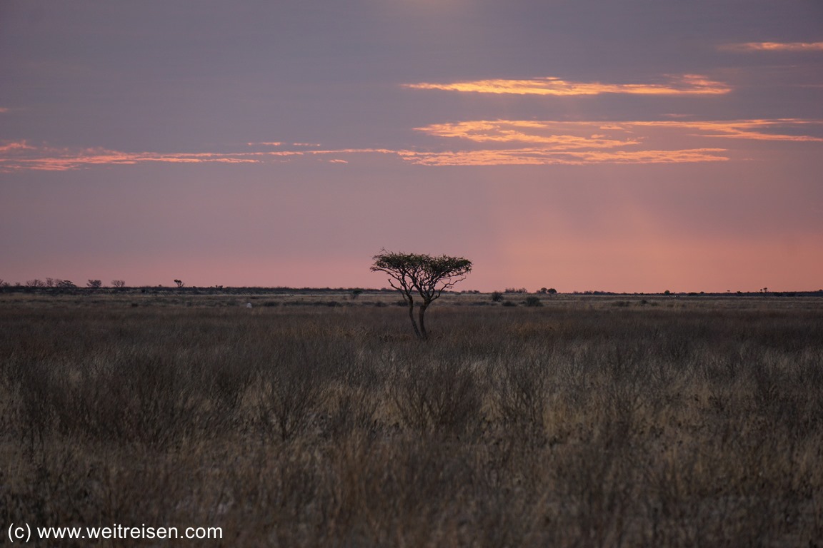 Central Kalhari, Botswana, Sonnenuntergang, Camping